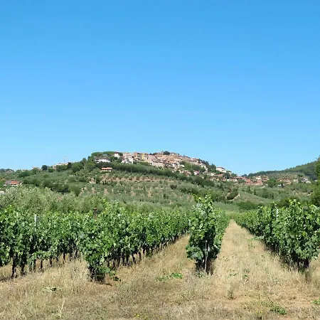 Holiday Limoni By Interhome * Castagneto Carducci